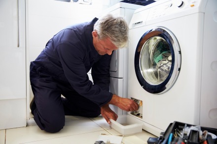 gallery/plumber-fixing-domestic-washing-machine-pdlqth2